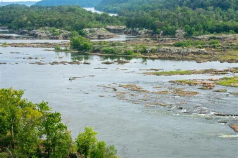 Conowingo Reservoir, PA/MD: Complete Guide – Wild