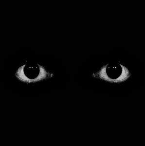 Create meme "scary eyes on white background, creepy eyes PNG, scary ...