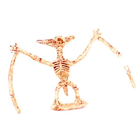 Pterodactyl Pterosaur Jurassic Skeleton Bones 6" Dinosaur Toy Figure ...