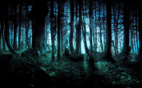 Night, Dark, Wood, Forest, Tree, Creepy, Spooky, HD wallpaper | Peakpx