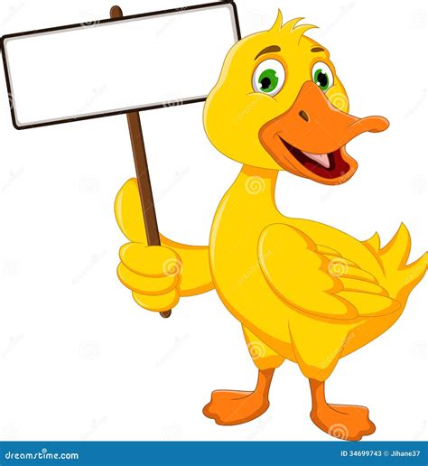 Funny Duck Cartoon Holding Blank Sign Stock Illustration - Illustration ...