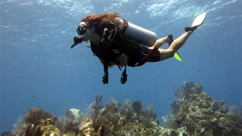 The Complete Guide to Dive Roatan - STINGY NOMADS