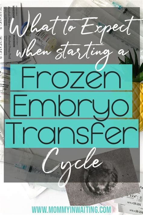 Frozen embryo transfer timeline – Artofit