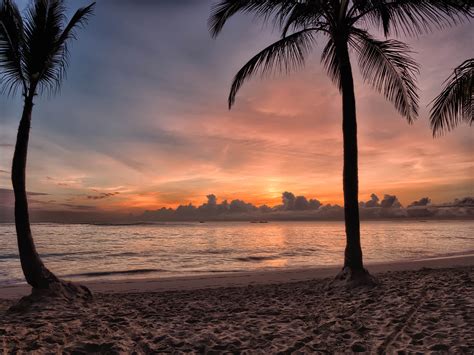 Free Images : sky, tropics, nature, sunset, palm tree, arecales, horizon, sunrise, evening ...