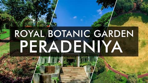 Peradeniya Royal Botanical Garden Map | Fasci Garden