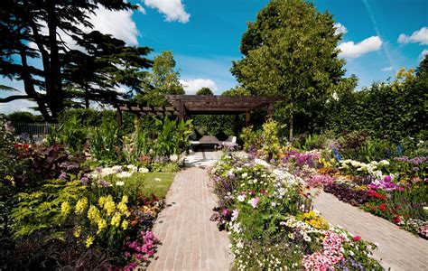 Hampton Court Flower Show: When it's on, getting there, how to get tickets