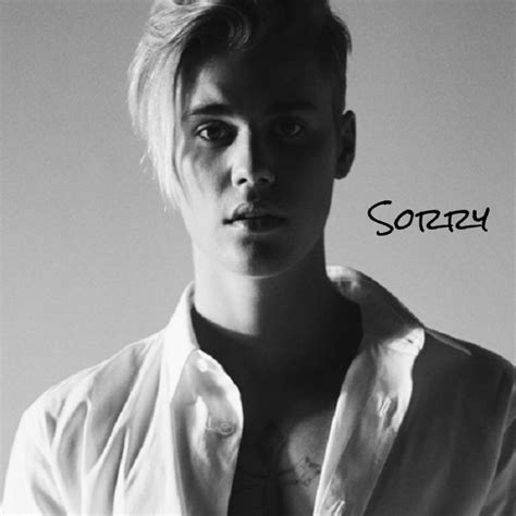 Justin Bieber "sorry" lyrics | online music lyrics