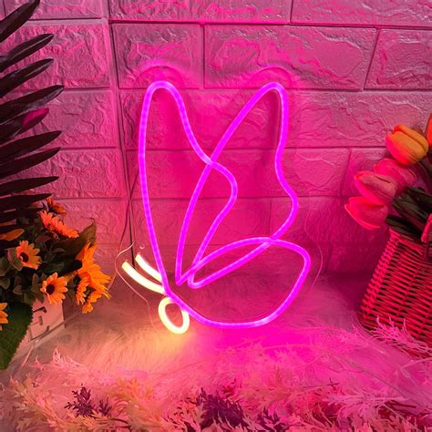 HDJSIGN Butterfly Neon Signs for Wall Decor Pink LED Neon Light Sign Butterfly USB Operated ...