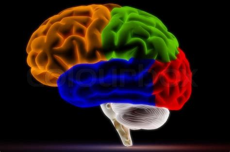 Colorful Brain | Stock image | Colourbox