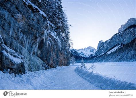 Winter wonderland Nature - a Royalty Free Stock Photo from Photocase