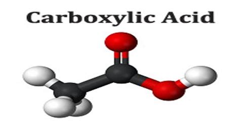 Carboxylic Acid - Assignment Point