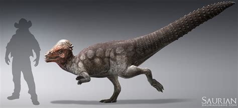 Pachycephalosaurus | Saurian Wikia | Fandom