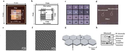 CMOS design. (a) Photograph of the CMOS chip. (b) Chip sketch. The ...