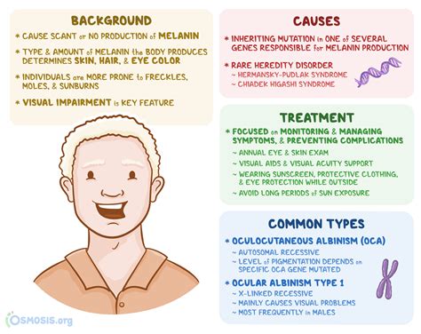 Achromasia: What Is It, Causes, Diagnosis, Treatment, and More | Osmosis