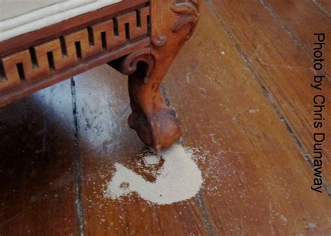 Get Rid Of Termites In Furniture