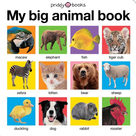 My Big Animal Book