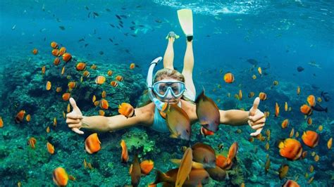 North Shore Snorkeling in Oahu - 5 Most Beautiful Locations