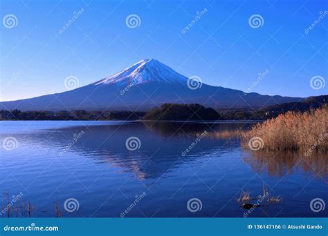 Mt.Fuji with Blue Sky from Oishi Park in Lake Kawaguchi Japan Stock Photo - Image of lakeside ...