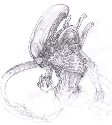 xenomorph alien by ChrisOzFulton on DeviantArt