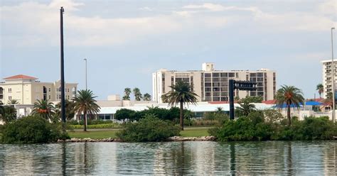 Clearwater Marine Aquarium (Clearwater) - Visitor Information & Reviews