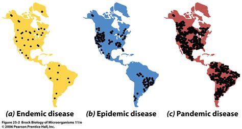 Endemic, epidemic, pandemic – what’s the difference?