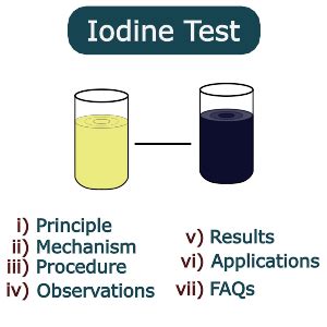 Starch Iodine Complex