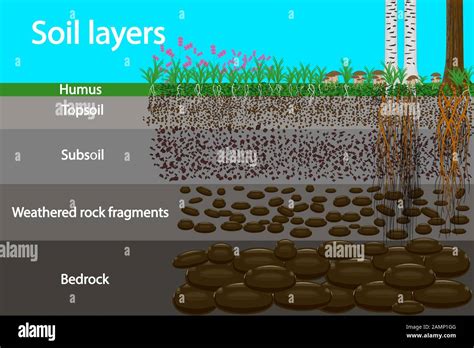 Soil Layers Stock Photos & Soil Layers Stock Images - Alamy