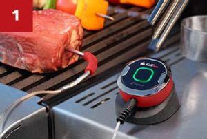 iGrill Mini Review - Hands Off Grilling at Your Fingertips » The Grilling Life