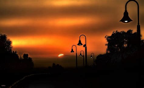 Sunrise, Signal Hill Photograph by John R Williams - Fine Art America