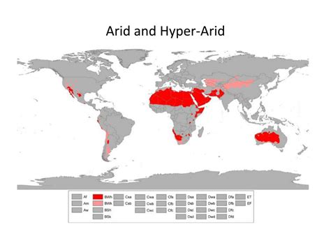 PPT - Arid Ecosystems PowerPoint Presentation, free download - ID:2064655