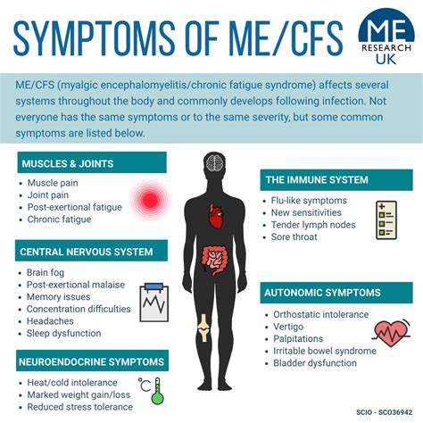 All in your head? Brain research in ME/CFS