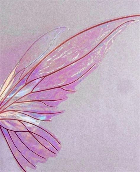 🔥 [30+] Butterfly Wings Wallpapers | WallpaperSafari