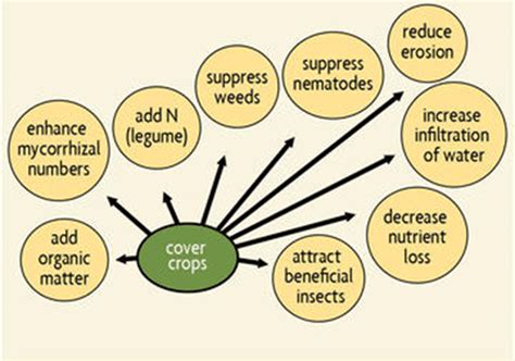 How can we increase the organic matter to soil? | ResearchGate