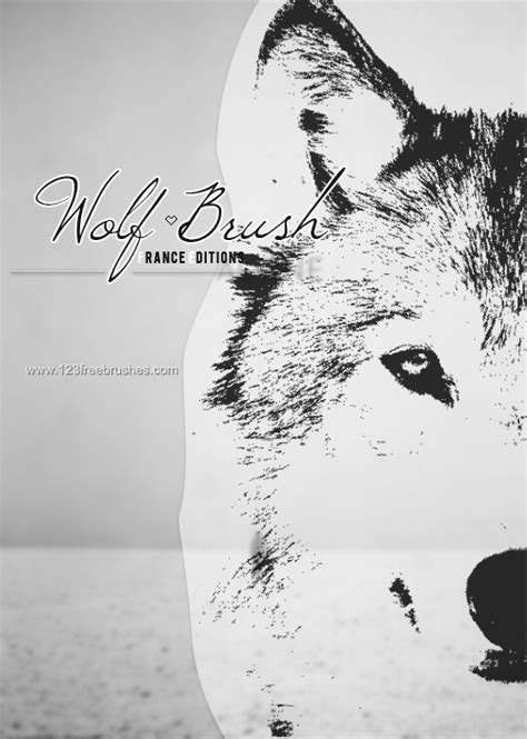 Wolf | Brushes Photoshop Cs3 | 123Freebrushes