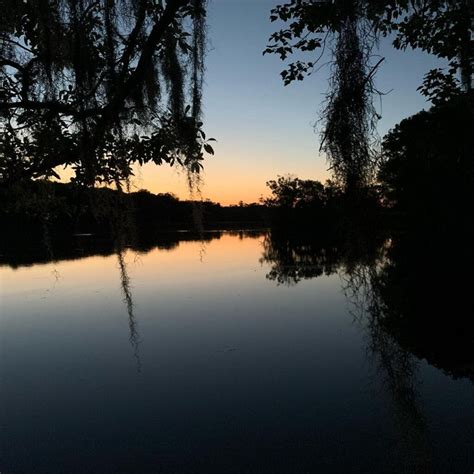 Can You See Manatees At Manatee Springs State Park? - Indie88