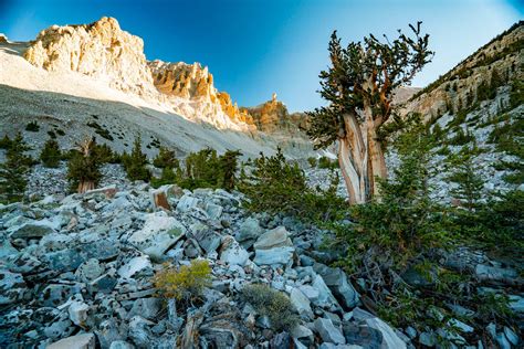 7 AMAZING Nevada National Parks to Visit (Photos + Helpful Guide)