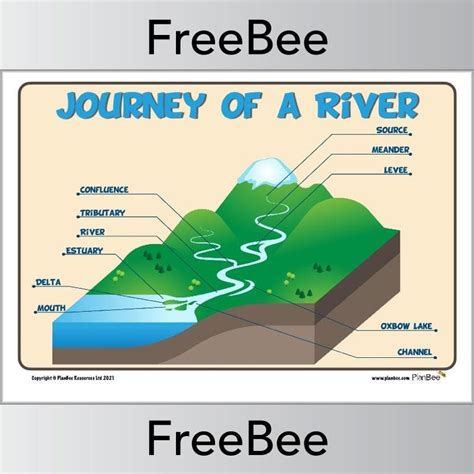 River Delta Diagram For Kids