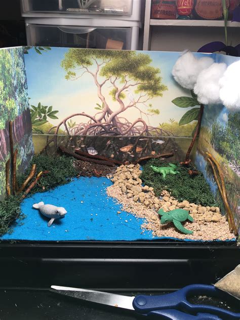 Everglades diorama habitat project | Habitats projects, Diorama kids, Ecosystems diorama