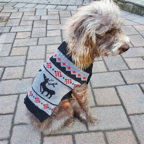 Christmas Dog Sweater Cute Festive Holiday Sweaters for Pets - Etsy