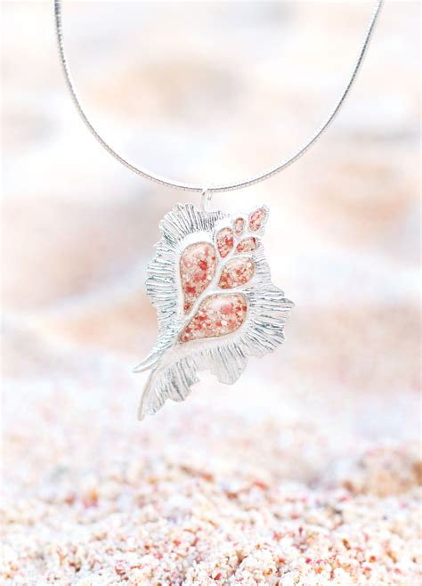 Splash ~ Rare Bermuda Shell 2014 Ornament / Pendant | Bermuda sands ...