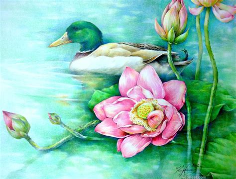 Duck Lotus Flower Painting By Paintingkim 1