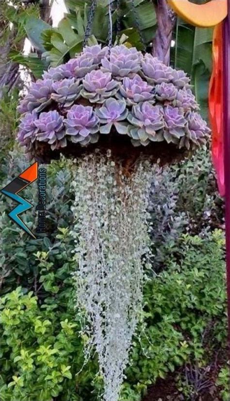 37 amazing rock garden design ideas 2 (With images) | Plants, Hanging ...