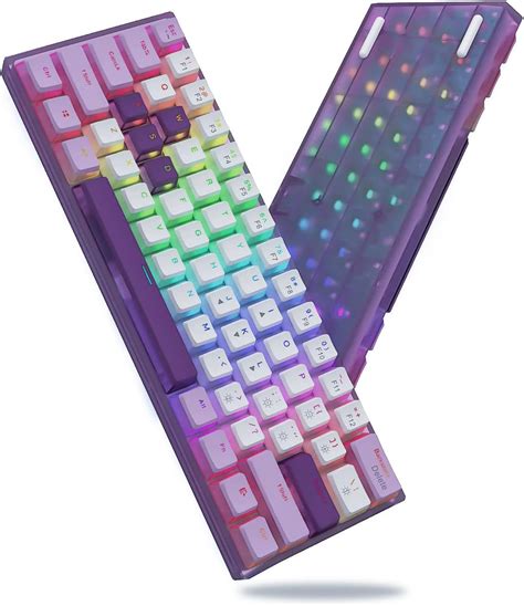 Womier WK61 Purple Keyboard - 60% Mechanical Keyboard, Hot-Swappable ...