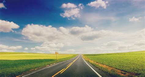 1170x2532px | free download | HD wallpaper: empty narrow road HD wallpaper, greens, grass ...