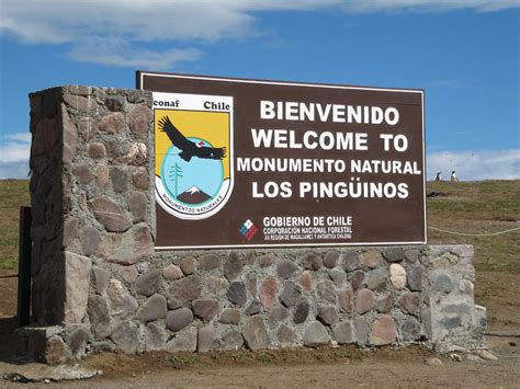 Los Pingüinos Natural Monument | The island is a national mo… | Flickr