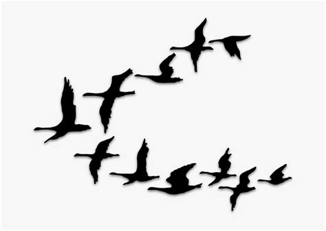 Cartoon Flying Birds Png, Transparent Png - kindpng