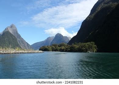 824 Milford Sound Wildlife Images, Stock Photos & Vectors | Shutterstock