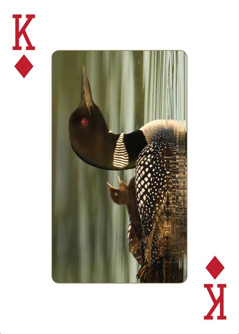 Loons Playing Cards - AdventureKEEN Shop