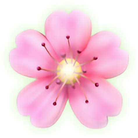 Flower emoji png, Flower emoji png Transparent FREE for download on WebStockReview 2024