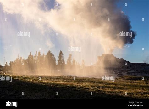 Castle Geyser eruption during the sunset Stock Photo - Alamy